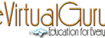 evirtualguru