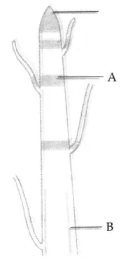 sci 39