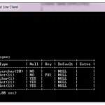 create table in mysql 11