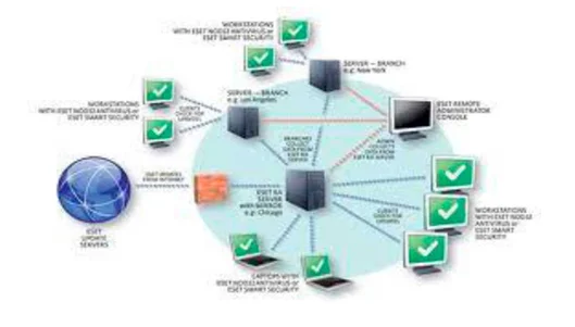 network devices 9