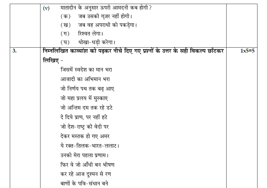 summative assignment in hindi
